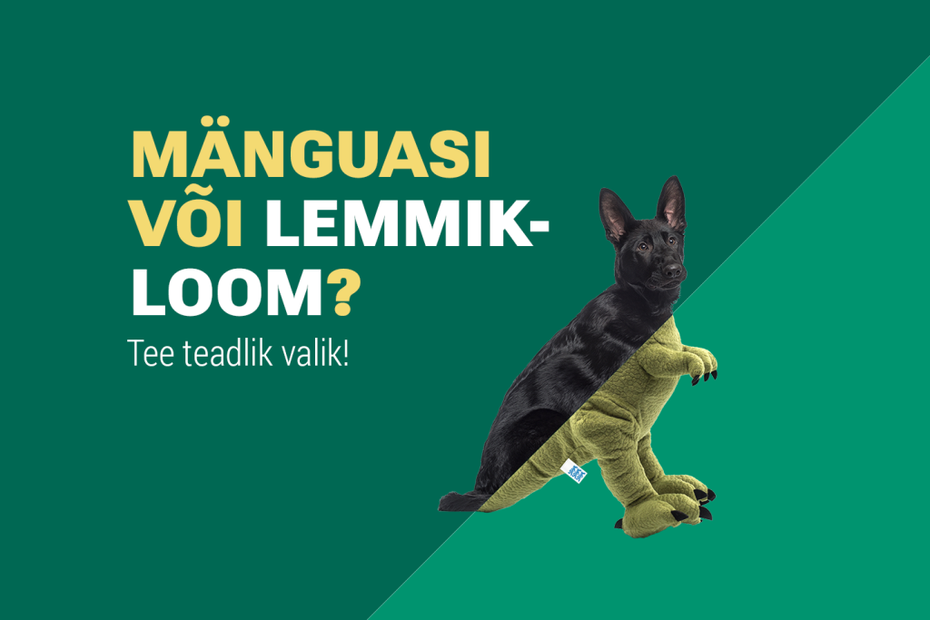 pta_kodulehe_header_1440x960_01 (1).png
