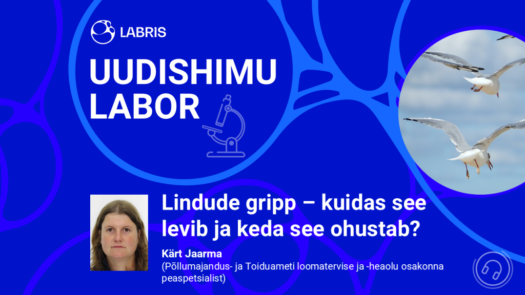 LABRIS_podcast_linnugripp.png